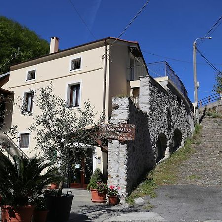 Agriturismo Dai Marchesin Nasino Екстериор снимка