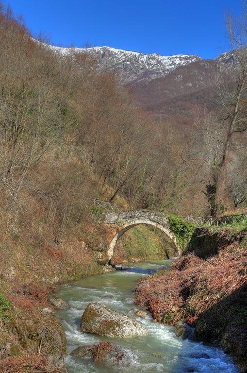 Agriturismo Dai Marchesin Nasino Екстериор снимка